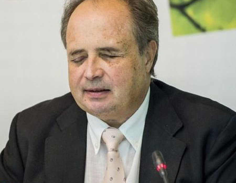 Carlos martinez orgado 3150 1