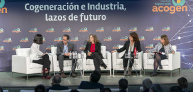 Mesa Redonda SOLVYA, LECTA, ASCER, AZUCARERA