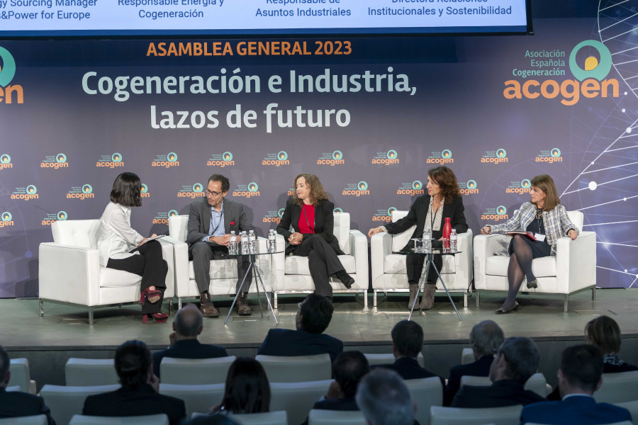 Mesa Redonda SOLVYA, LECTA, ASCER, AZUCARERA