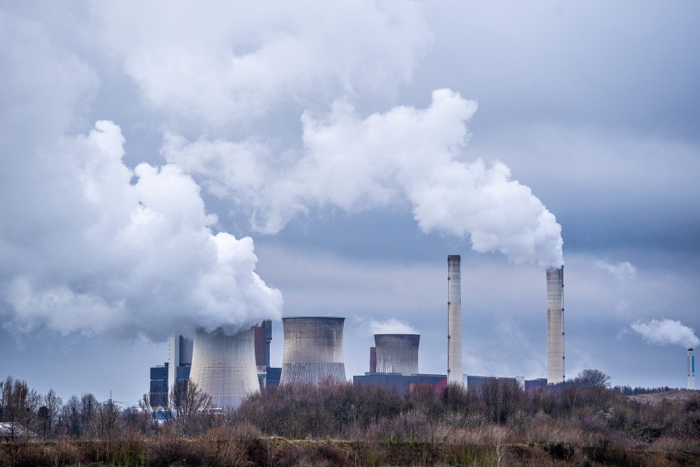 EcoVadis Imagen Carbon