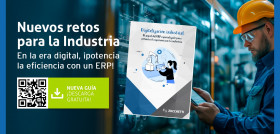 Img NP Guia ERP industrial envio1 (1)