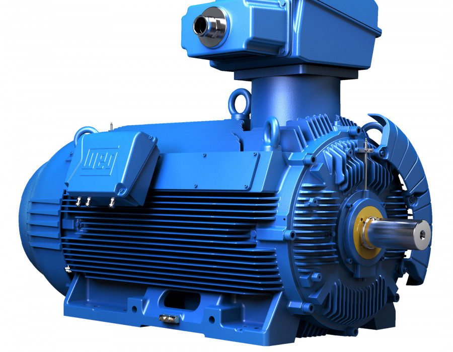 WEG934   Image
