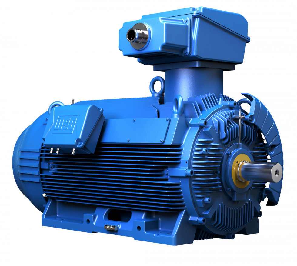 WEG934   Image